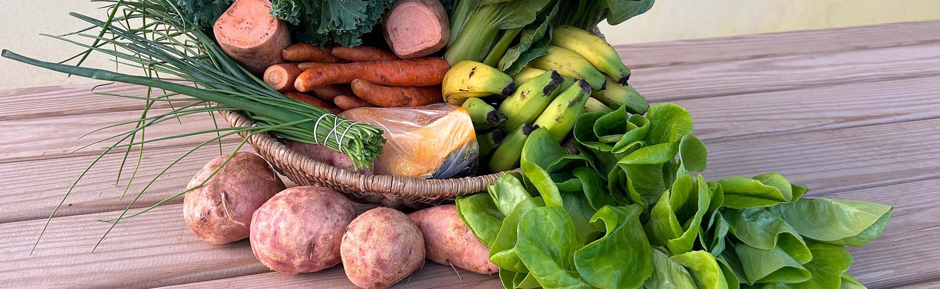 Organically Grown Produce