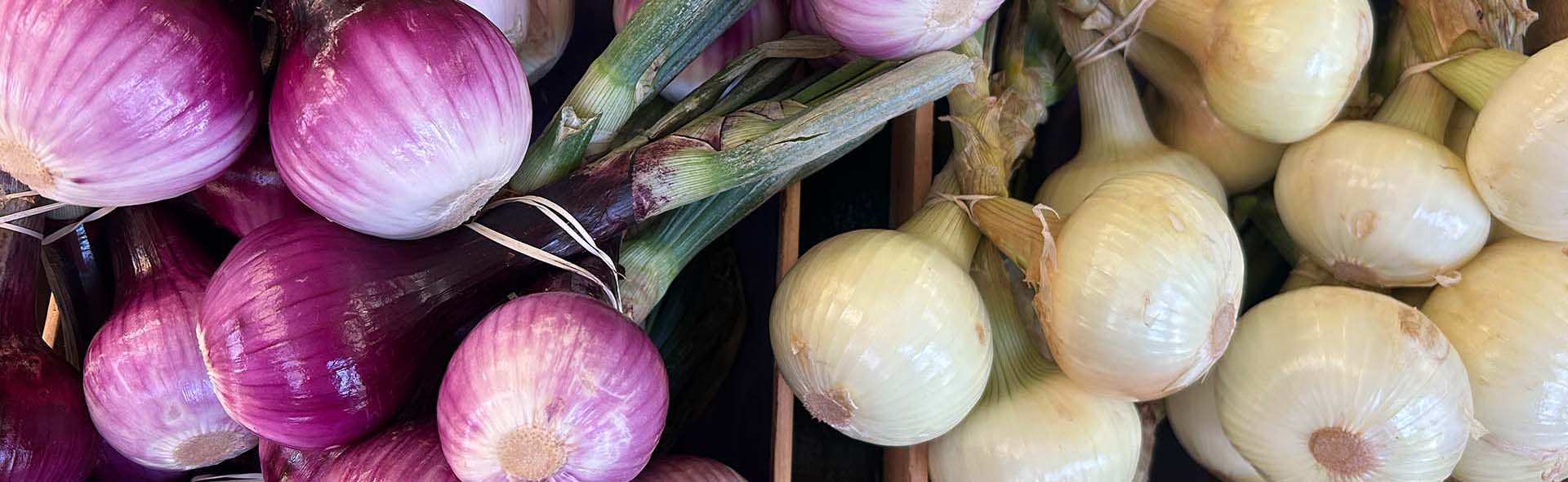 Organically Grown Produce