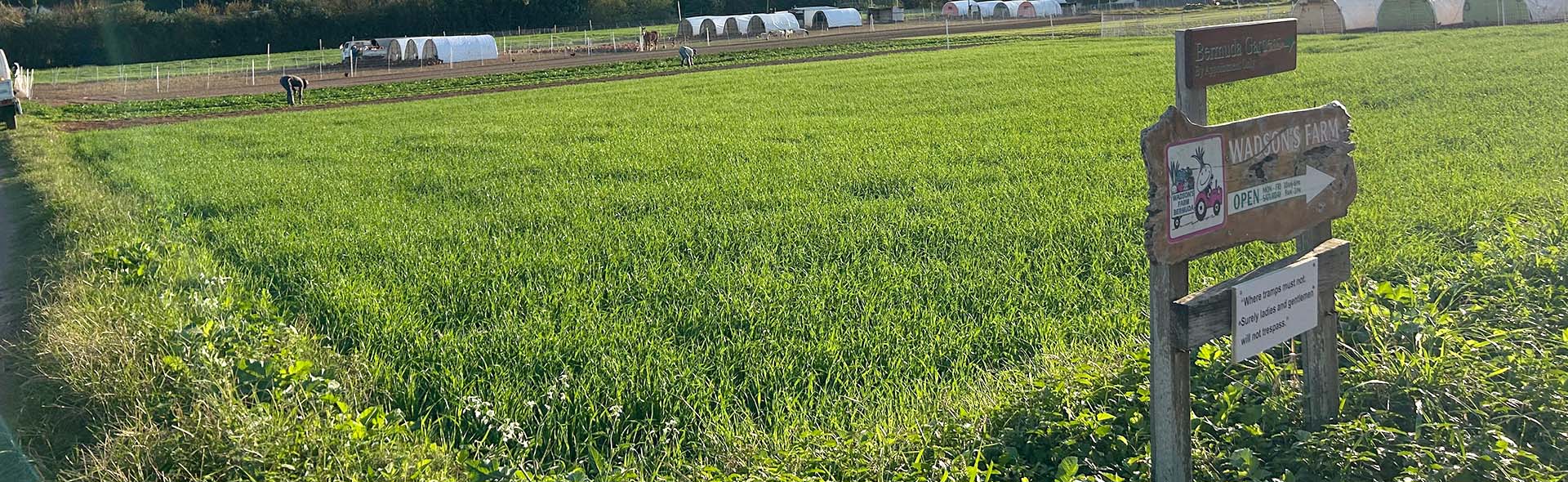 Organically Grown Produce